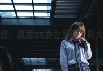 福利放送：疯猫ss办公室的写真大乱斗！